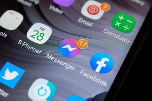 deratyzacja, dezynsekcja, opryski, usuwanie gniazd